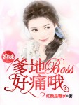 䣬BOSSʹŶ